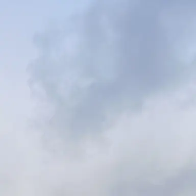 Profile image of Landlord