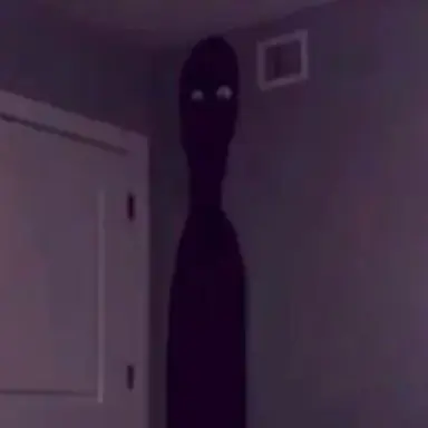 Profile image of 얼터네이트