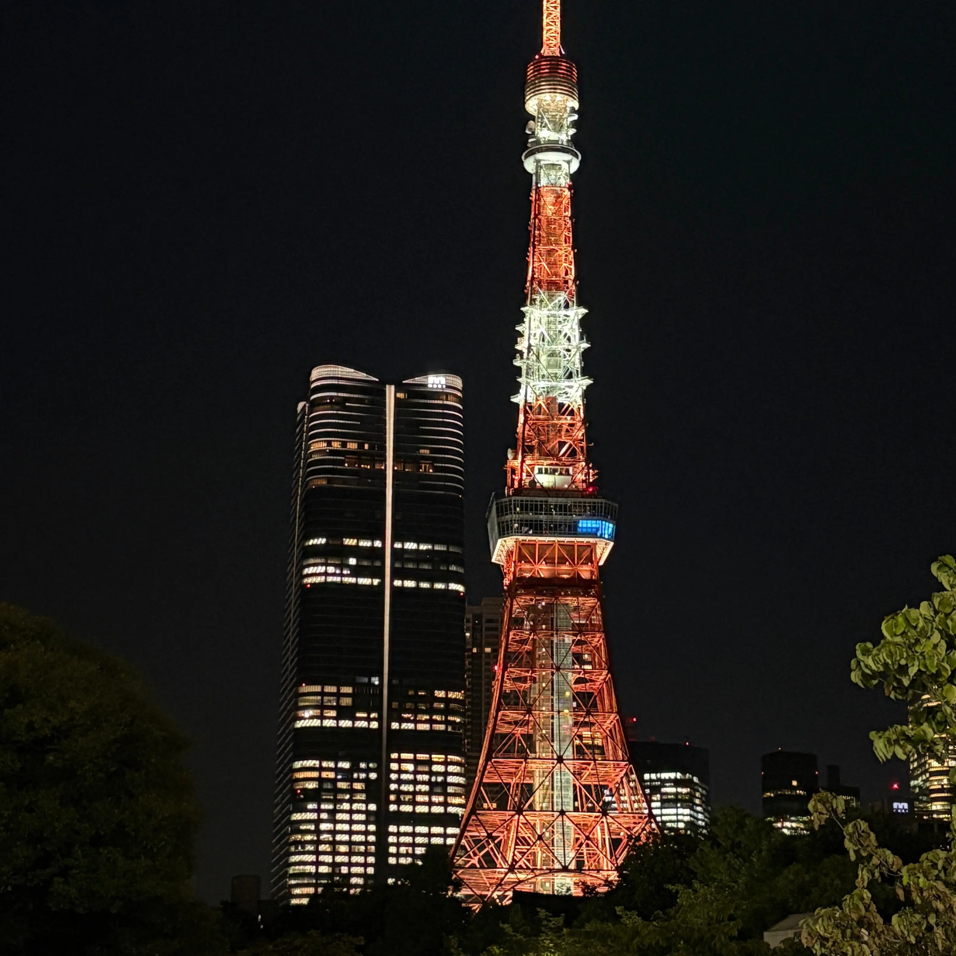 SoggyHelm8816의 장민혁