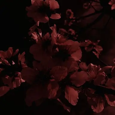 Profile image of 라더