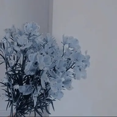 Profile image of 행크