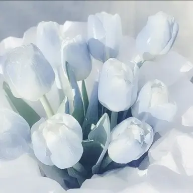 Profile image of 예엥 - 옝