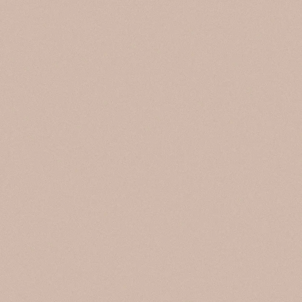 FunkyMilk0781의 속도위반