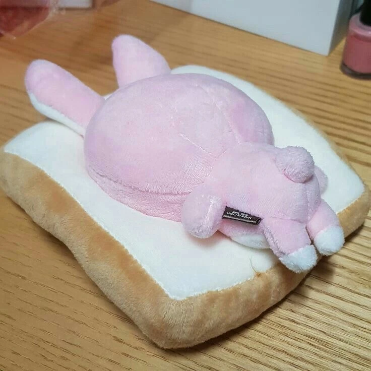 김원필