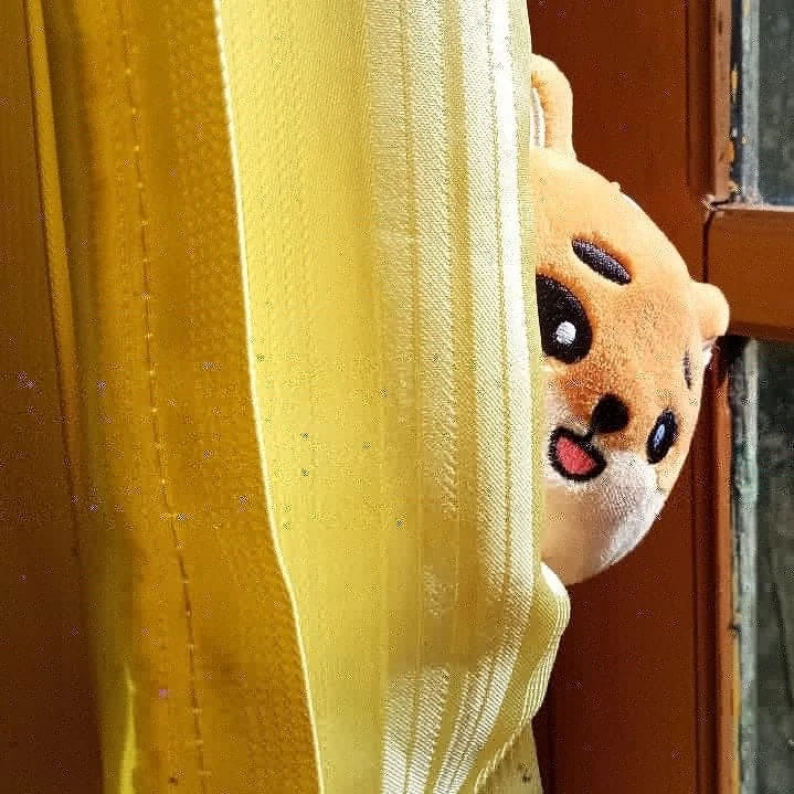 강영현