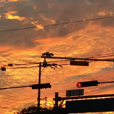 Profile image of 시니에스티