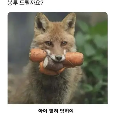 Profile image of 여우