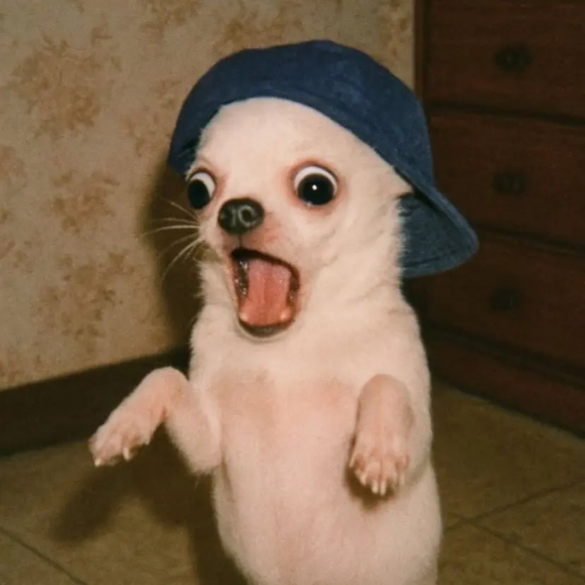 GiddyLynx3599의 유우시