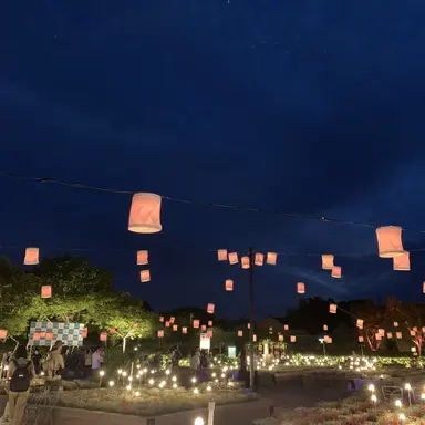 Profile image of 台本