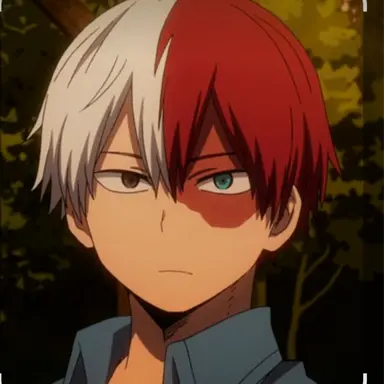 Profile image of Shoto Todoroki