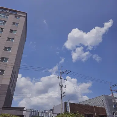 Profile image of 망묘