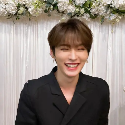 DottedStool3875의 리노