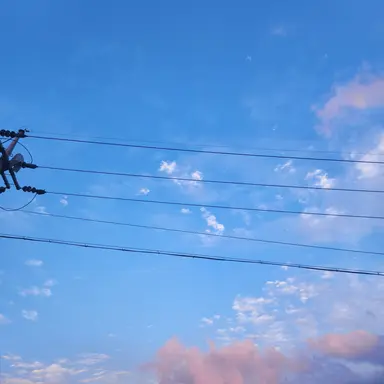 Profile image of 이맹둥