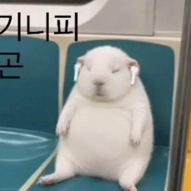Profile image of 마주