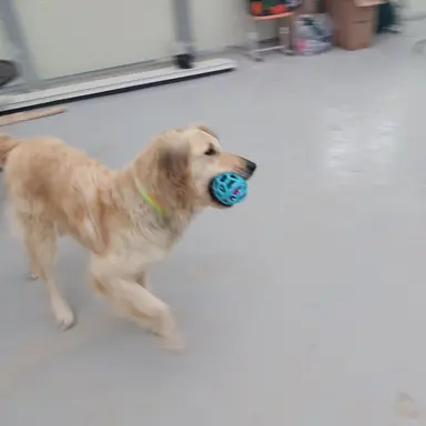 Profile image of 쥐방울