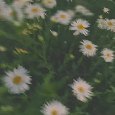 Profile image of ヒョンジン