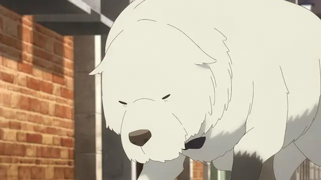 Profile image of 본드
