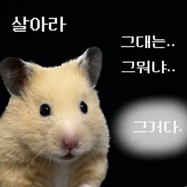 Profile image of 쉐어하우스 룰