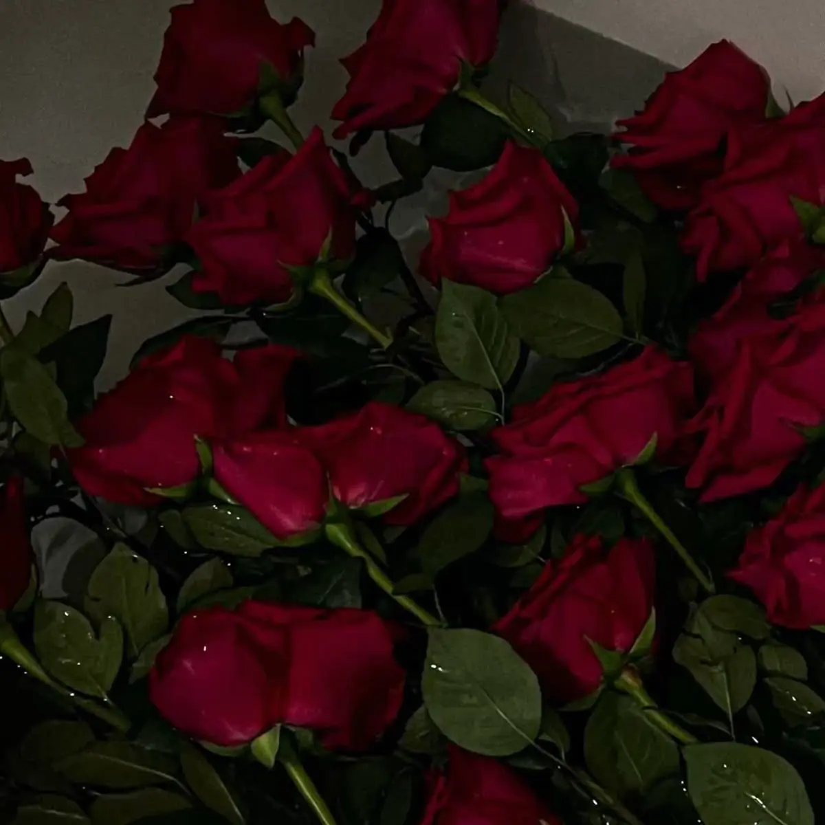 NOZEeeeee의 조미연