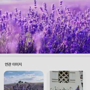 Profile image of 수현