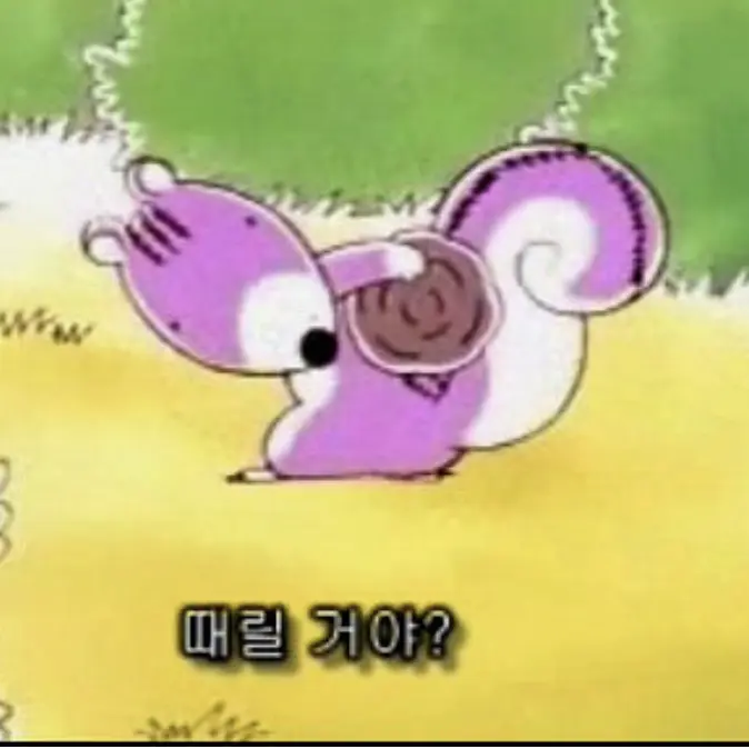 nannayo의 포로리