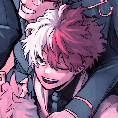 Profile image of Shoto Todoroki