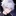 春