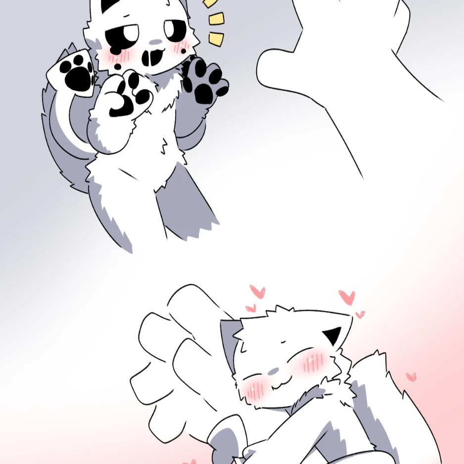 오징어발견 퍼리