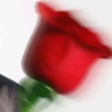Profile image of 박지훈