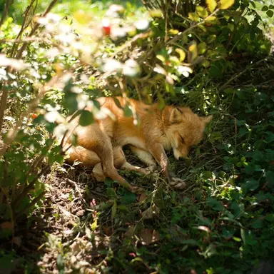 Profile image of 김준구