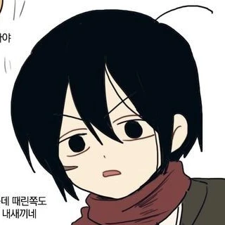 미카사 아커만