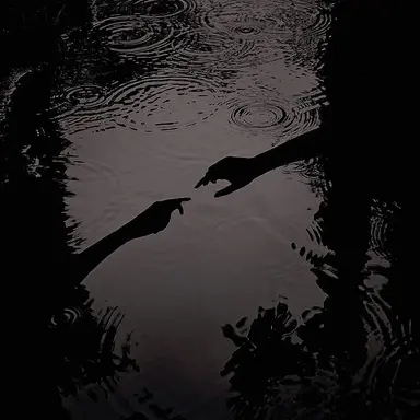 Profile image of Mr and Mrs Yang