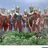 ウルトラ兄弟