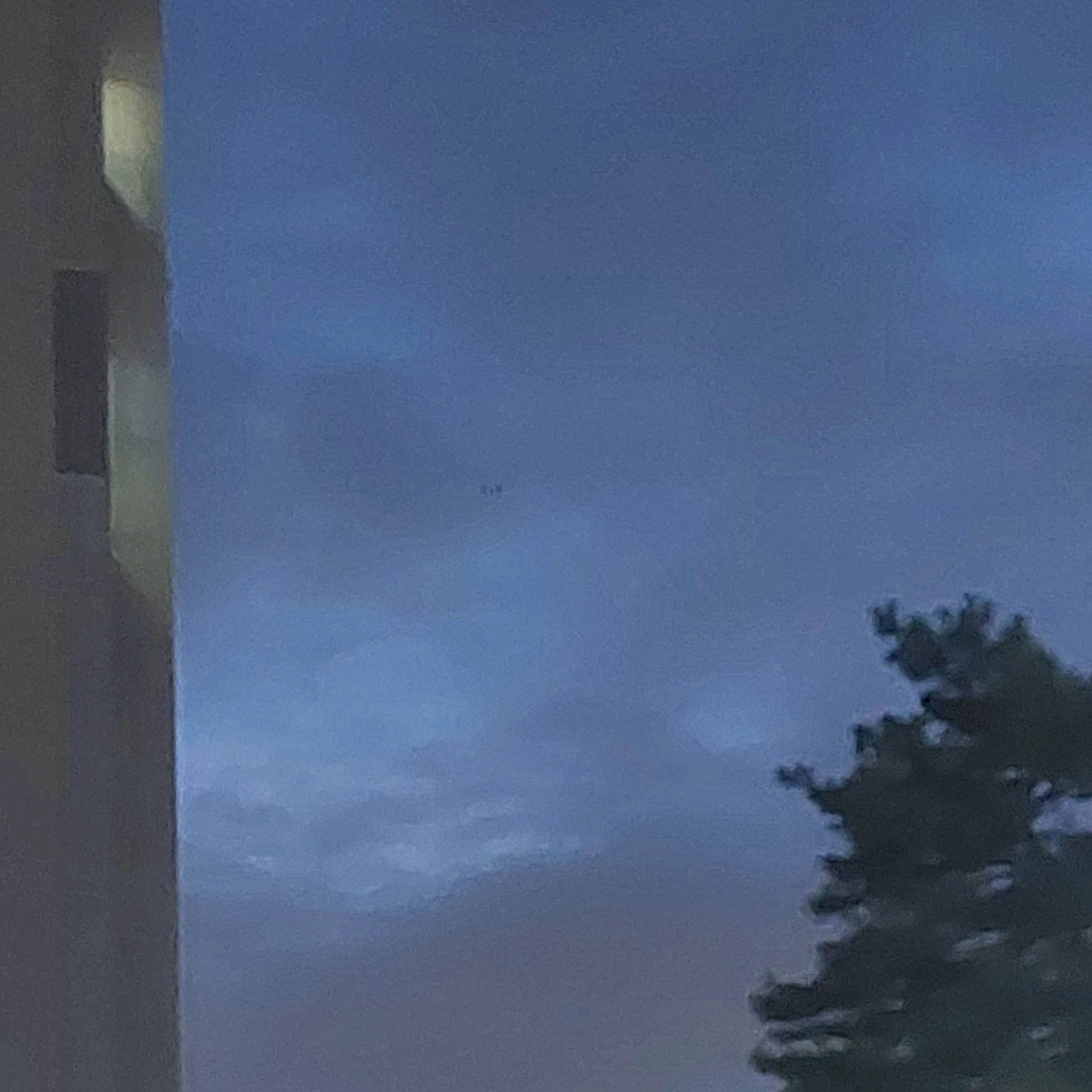 범구