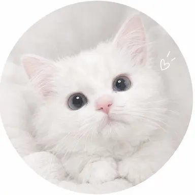 Profile image of 네코네코