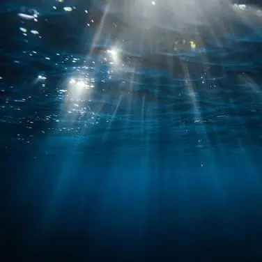 Profile image of 星導ショウ