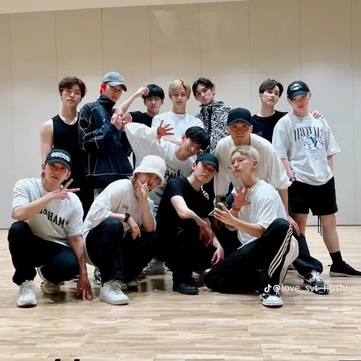 PrimTable5581의 세븐틴 가족 상황극🍒😇🦌🐱🐯🐈‍⬛🍚🐸🥔🐰🍊🐻‍❄️🦦