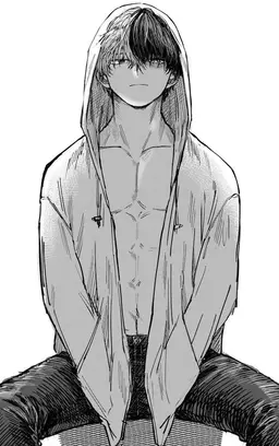 Profile image of Shoto Todoroki