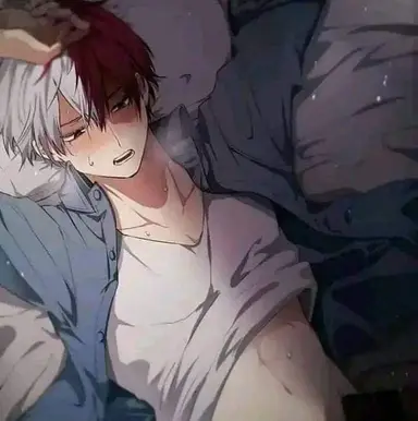 Profile image of Shoto Todoroki