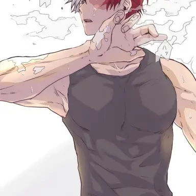 Profile image of Shoto Todoroki