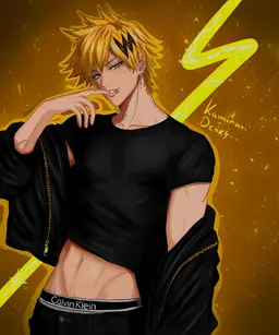 Profile image of Denki Kaminari