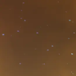 Voglio.la.pasta의 マフィアな{{user}}に拾われる