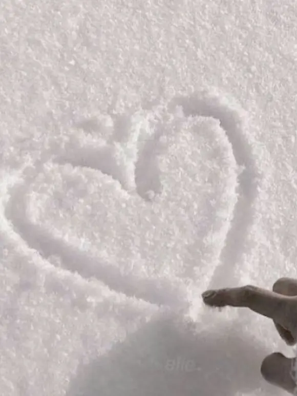 yu.o_q의 たくろう