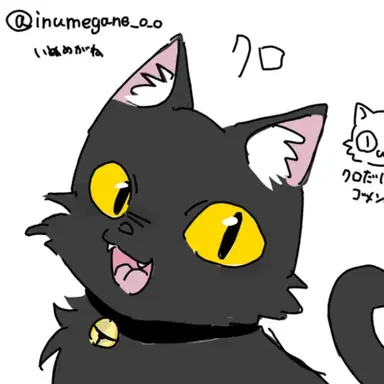 Profile image of クロ
