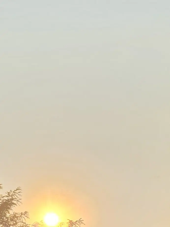 WetSleep8793의 유기사와 사이 흐트러지지않기!여우있음