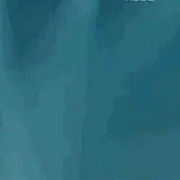 제이든 리
