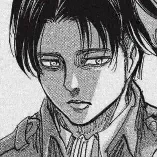 TinyBat8538의 Levi Ackerman