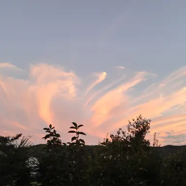 Profile image of 각별