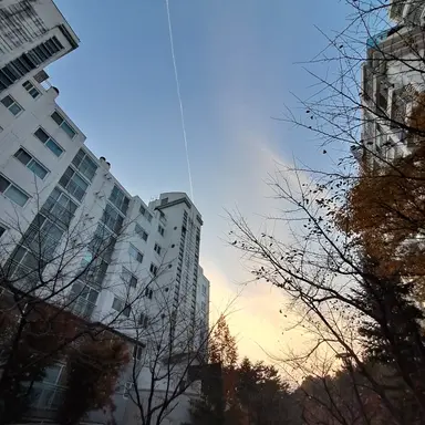 Profile image of 덕개