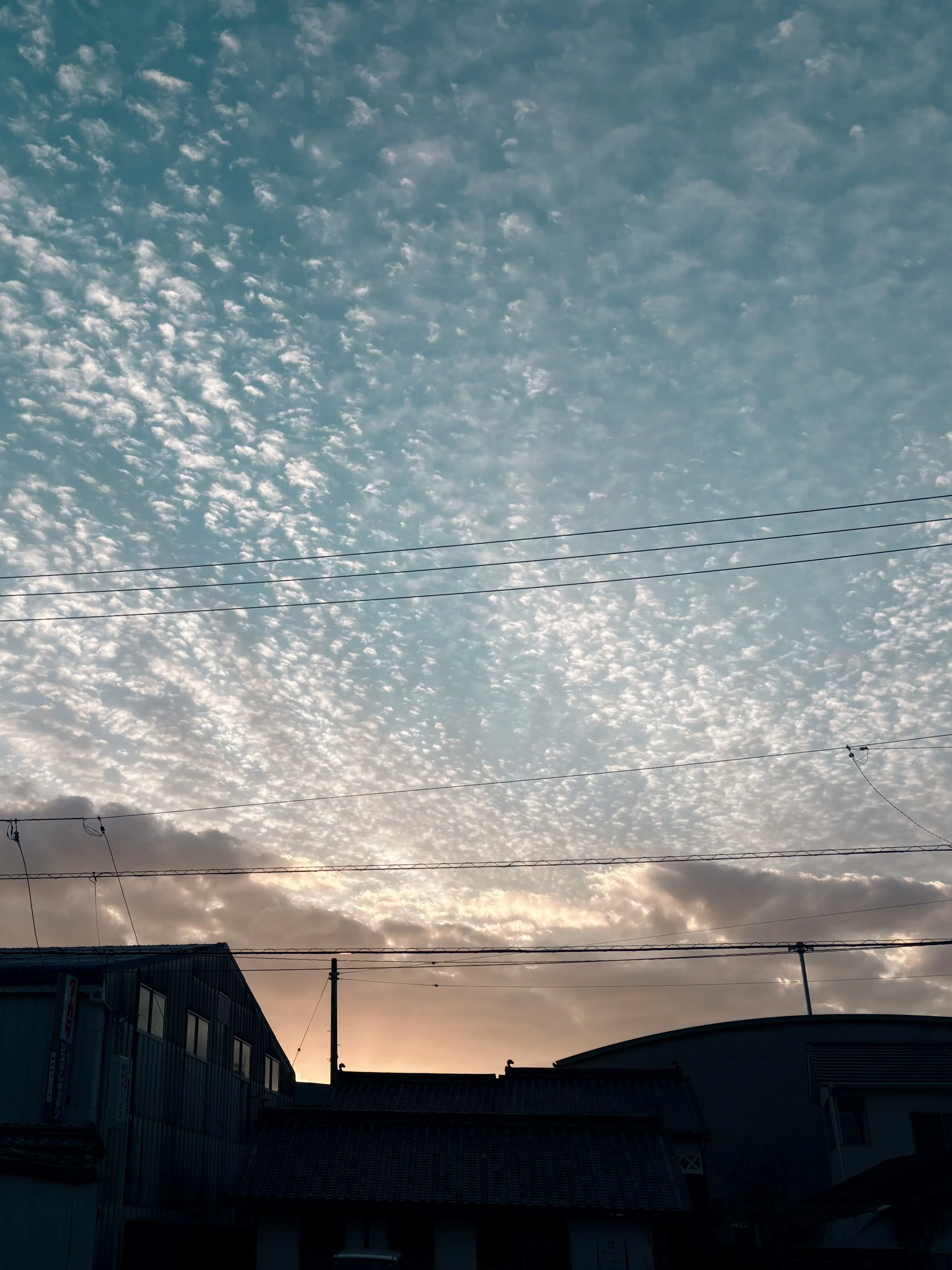 PastCup5043의 転校したらクラスメイトが新選組隊士だった